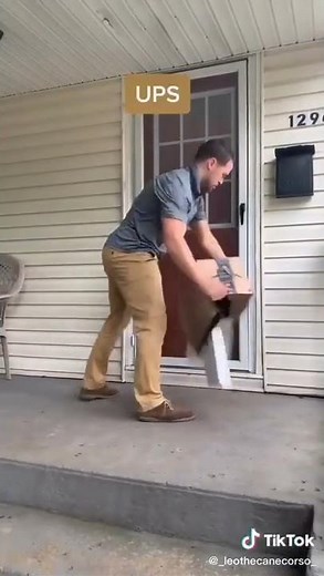 Funniest Video Ever | Amazon Prime vs UPS vs FedEx | Must Watch | TikTok Funny Clip