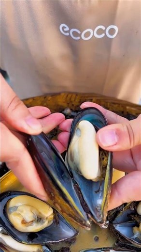 LIVE MUSSELS #seafood #asmr