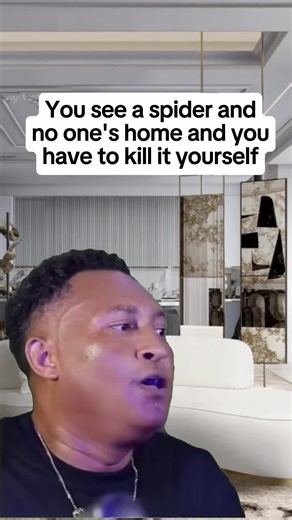 Florida's Unique Wildlife: Spiders, Lizards, and Palmetto Bugs