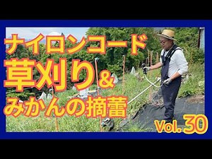 【ナイロンコードでの草刈り】刈払機の刃を変えたら障害物まわりの雑草も怖くない！＆みかんの苗木のメンテナンスで摘蕾に挑戦【ヨクスル松田町プロジェクト Vol.30】