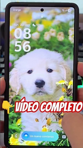 📱😱 YOUR BACKGROUNDS CHANGE BY THEMSELVES on Android… HERE'S THE SOLUTION