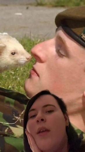 Did you know this?? Ferrets have been used for hunting in Britain for hundreds of years ans still continues today #army#britisharmy#ferrets#ferretfact