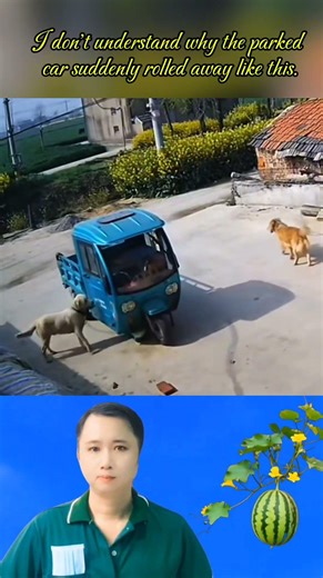 I don't understand why the parked car suddenly rolled away like this.#shortvideo #short