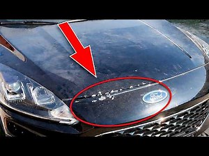 Don’t Repaint Your Hood! Easy Way to Fix Rock Chips with Spray Paint