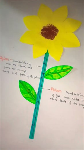 Sneek peak of my science project 😁🤌🏻 #art #music #project