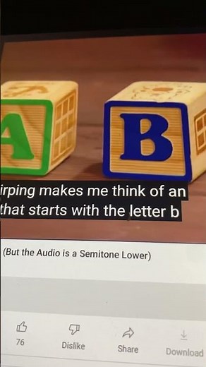 Barney Animal ABCs B is for Bird