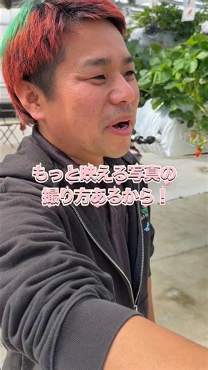 いちご狩りで、映え写真🤳これみて勉強してね‼️