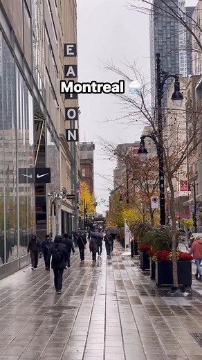 Montreal Weather today 🌧️ Follow Mtl Image #Montreal #montréal #montrealcity #montreallife #downtownmontreal #montrealcanada #quebec #canada | Mtl Image