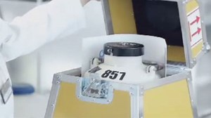 Una empresa danesa ofrece un método de ‘autoinseminación’ por menos de 1.000 euros