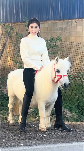 Elegant Elegance: Farmer's Daily Ride on a Majestic White Pony 👀