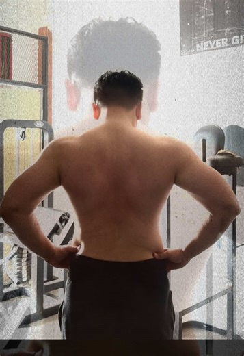 Effective Back Workout Routine for Muscle Growth