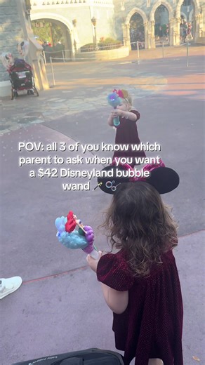 Magic=free #disneymath #disneyworld #magickingdom #orlando #nobudget