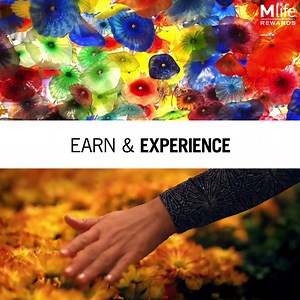 Present an eligible competitor's rewards card and advance to an equivalent M life Rewards tier. | MGM Resorts