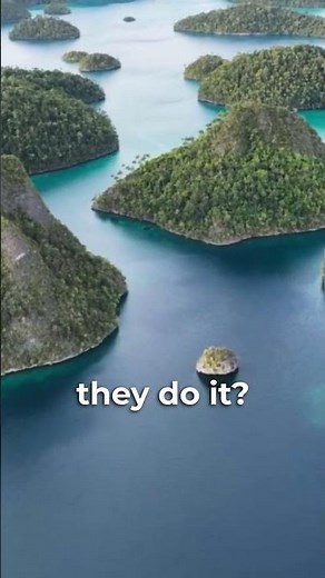 How Dubai Built the World Islands