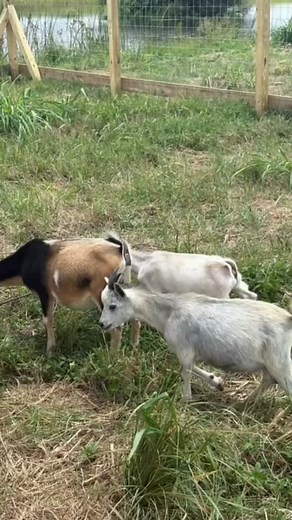 Jeff Thompson on Reels