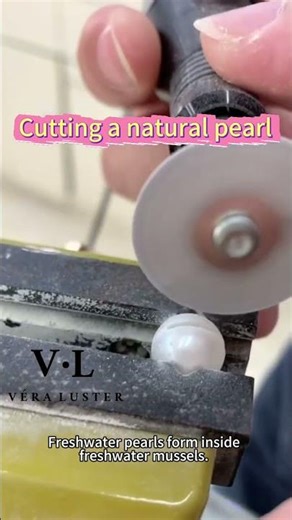 What is inside a natural pearl? https://veralustre.com/