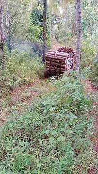 Oldest Jeep Log Truck Still Working Deep in the Forest
