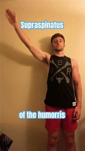 Supraspinatus #health #exercise #fitness #wellness #gym #physicaltherapy #studyguide