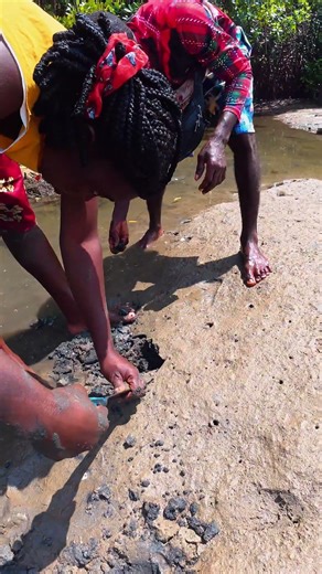 Digging for razor clams