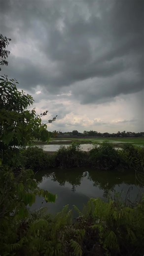 Bầu trời chiều nay suy quá anh em… #xuhuongtiktok #chill #tamtrang #triểnmưa #fyp