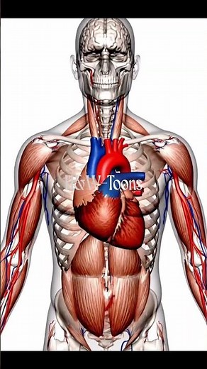 Ventricular Fibrillation (VFib): The Electrical Chaos of the Heart #VentricularFibrillation #VFib