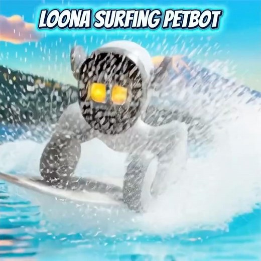 Loona Petbot Surfing