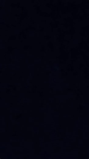 only one and it's wolf