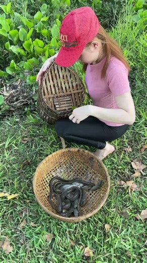 Survival fish trapping skills