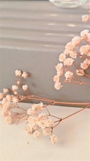 Andreea Sorina on Instagram: "✨Werbung✨ Mit Noa von @cacharel kommst du in eine einzigartige olfaktorische Reise mit. Die Herznote aus Seegras verleiht der Komposition eine frische und unerwartete Facette, die an die Weite des Ozeans erinnert. In der Basisnote sorgt das Aroma von Kaffee für eine warme, tiefgründige und anregende Tiefe, die dem Duft einen unvergesslichen und beständigen Charakter verleiht. Es ist ein Parfum, das die Persönlichkeit subtil unterstreicht und einen bleibenden, positi