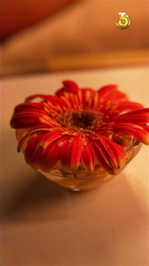 Nimanthi's Rose Elixir Facial