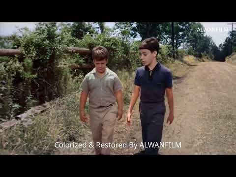 Ladybug Ladybug (1963) Colorized DEMO | Jane Connell