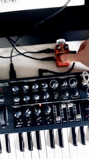 tiny pedal/BIG SOUND - pitch shifter! #effectspedals #synthesizer #pitchshift