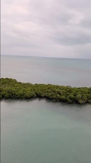 Harvest Caye, Belize 🇧🇿 #travel