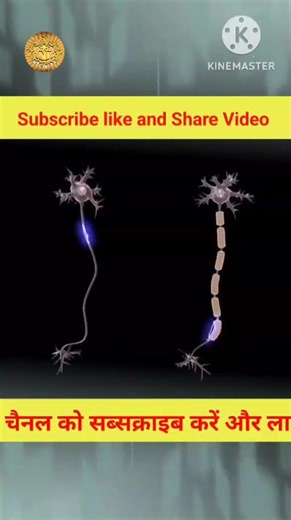 #Neuroscience#Performance#Biology#Efficiency#Innovation