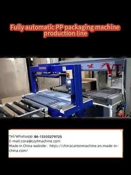 Fully automatic PP packaging machine production line.