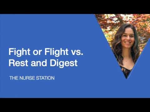 Fight or Flight vs Rest and Digest SD 480p