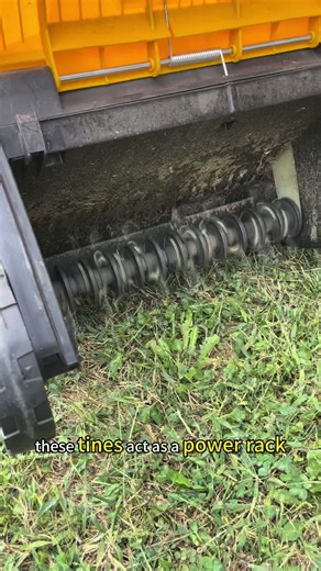 Fully Adjustable! Dethatch Your Lawn Without Back Pain.#EVEAGE#dethatcher #electricdethatcher #lawncare #yardwork #thatch #lawntok #tiktokshopmademebuyit #tiktokshopfinds #tiktokshop