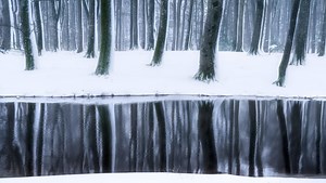 Mastering the Art of Winter Landscape Photography