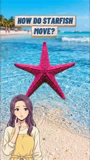 CAN STARFISH MOVE?