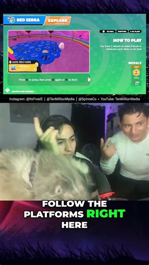 Fall Guys Streamer's Cat Steals the Show Mid-Game!