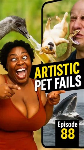 funny artistic pet fails 🤭 #funnyanimals #petfails #petlover