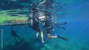 Diving training: a group of divers completes a dive near a floating platform, where staff helps them to remove equipment.