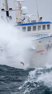 A major bait knife accident threatens the progress of the Northwestern, tonight at 8P on #DeadliestCatch. | Deadliest Catch