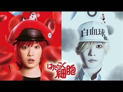 「はたらく細胞」永野芽郁・佐藤健W主演で実写映画化！『はたらく細胞』超特報