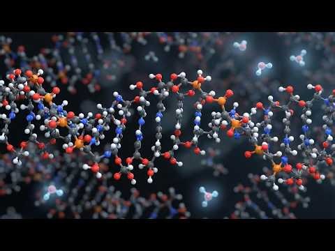 Reversing the Epigenetic Clock