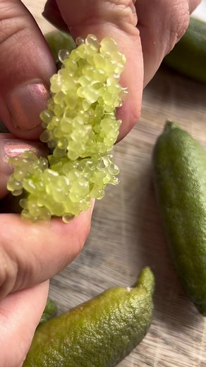 Frederikke Wærens (@frederikkewaerens)’s videos with Run Boy Run - Woodkid