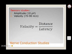 how to calculate the nerve conduction velocity and amplitude (nerve conduction study)?