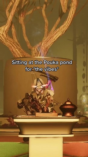 Adorable Poukas at Neomuna | Gaming Vibes