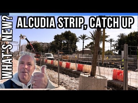 ALCUDIA catch up, End of week 3