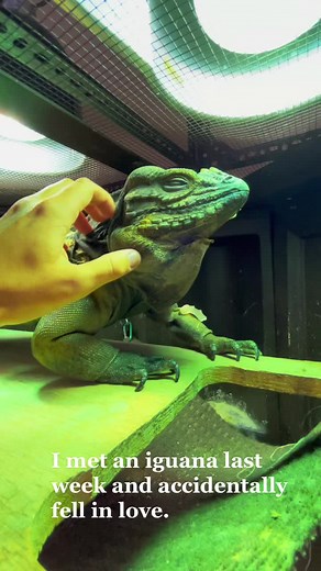 JordanPayne on TikTok